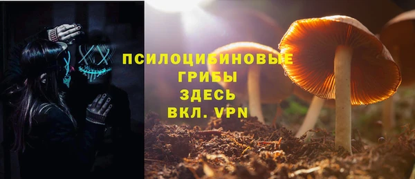 спиды Надым