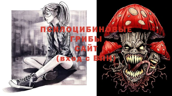 молекула духа Наволоки
