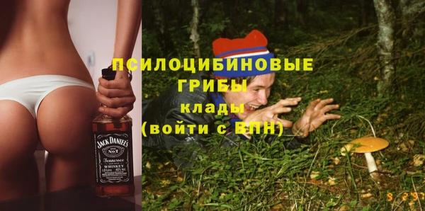 амф Михайловск