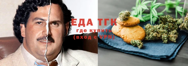 индика Новочеркасск